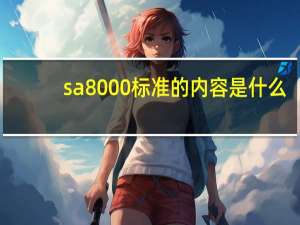sa8000标准的内容是什么