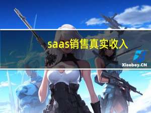saas销售真实收入