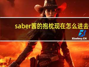 saber酱的抱枕现在怎么进去（saber酱）