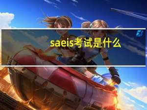 saeis考试是什么