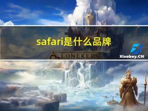 safari是什么品牌（safari是什么）