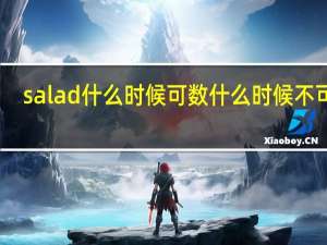 salad什么时候可数什么时候不可数