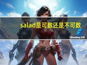 salad是可数还是不可数