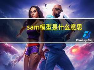 sam模型是什么意思