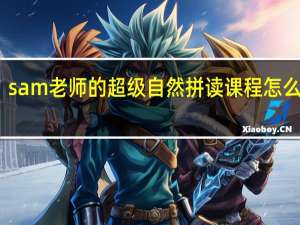 sam老师的超级自然拼读课程怎么样啊