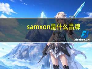 samxon是什么品牌