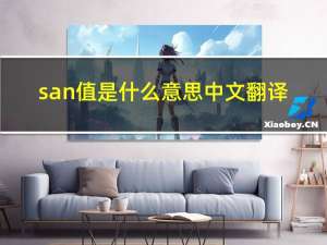 san值是什么意思中文翻译（san值是什么意思）