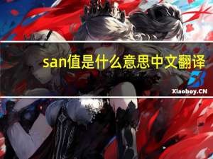 san值是什么意思中文翻译（san值是什么意思）