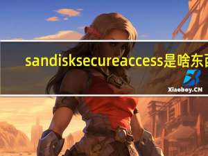 sandisksecureaccess是啥东西（sandisksecureaccess）