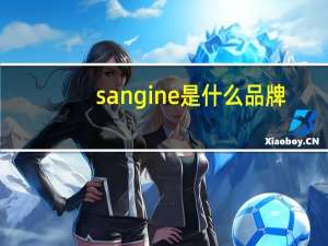 sangine是什么品牌