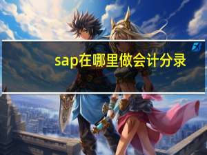 sap在哪里做会计分录