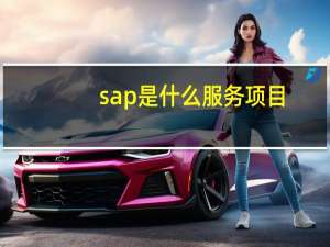 sap是什么服务项目