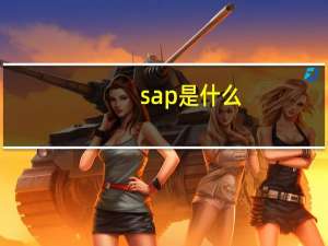 sap是什么