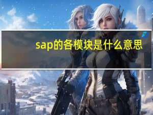 sap的各模块是什么意思