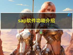 sap软件功能介绍（sap软件）