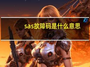 sas故障码是什么意思