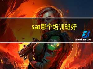 sat哪个培训班好