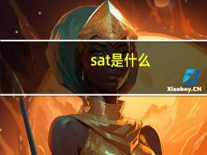 sat是什么