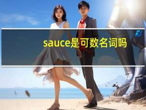sauce是可数名词吗