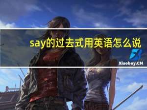 say的过去式用英语怎么说