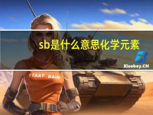 sb是什么意思化学元素（SB是什么意思）