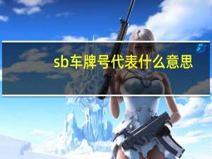sb车牌号代表什么意思