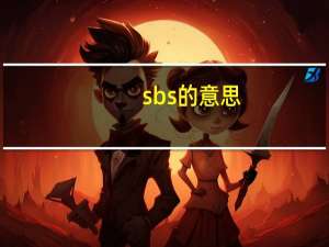 sbs的意思