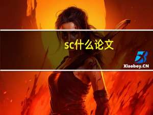 sc什么论文