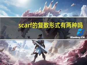 scarf的复数形式有两种吗（scarf的复数形式）