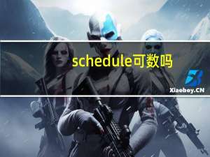 schedule可数吗