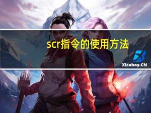 scr指令的使用方法