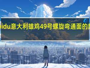 scupidu 意大利雄鸡49号螺旋弯通面的热量是多少