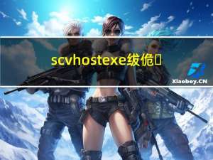 scvhostexe绂佹（scvhost exe）