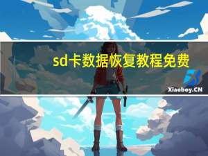 sd卡数据恢复教程免费（sd卡数据恢复）