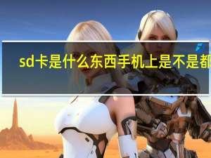 sd卡是什么东西手机上是不是都有（sd卡是什么东西）