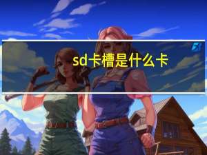 sd卡槽是什么卡