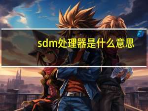 sdm处理器是什么意思