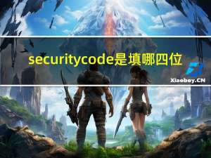 security code是填哪四位（签证知识 credit card security code是什么）