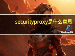 securityproxy是什么意思