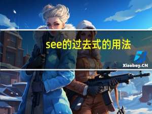 see的过去式的用法