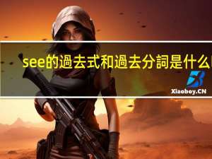 see 的過去式和過去分詞是什么啊