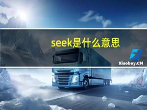 seek是什么意思