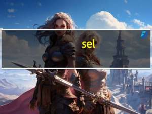 sel（关于sel的介绍）