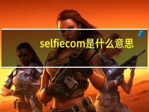 selfiecom是什么意思