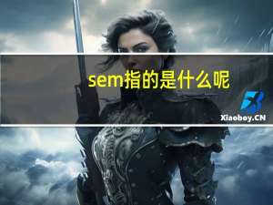 sem指的是什么呢_