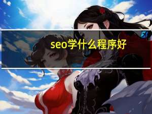 seo学什么程序好