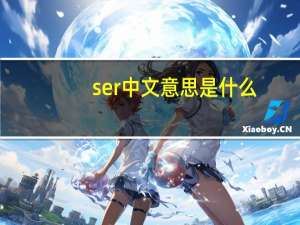 ser中文意思是什么