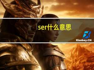 ser什么意思