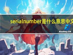 serial number是什么意思中文（serial number是什么意思）