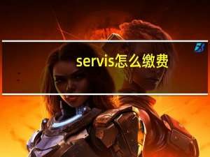 servis怎么缴费